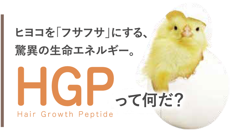 HGPって何だ？