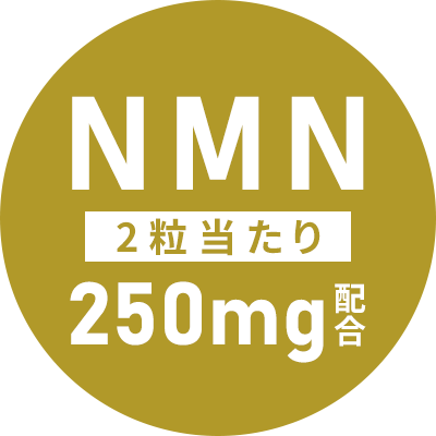 NMN 250mg配合(2粒あたり)